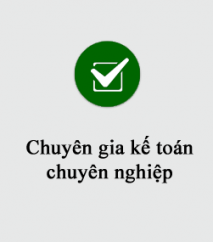 chuyen-gia-ke-toan-chuyen-nghiep-41
